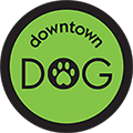 Aiken Downtown Dog